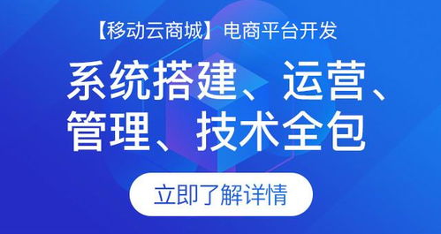 开发网上购物商城系统有哪几种方式